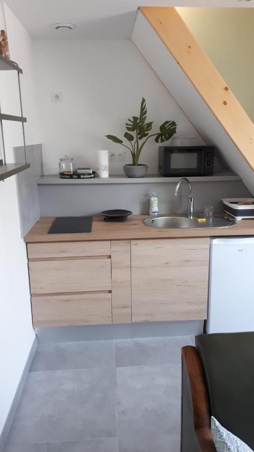 Le Chartreuse / Rent4Night Grenoble Exterior foto